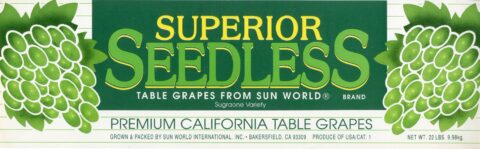 Superior Seedless